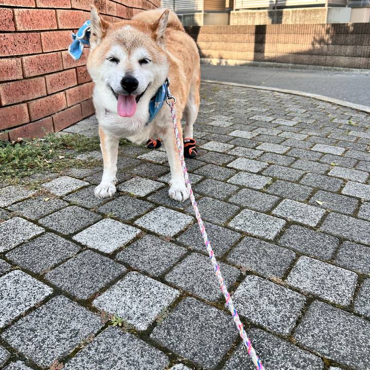 998aaf2b fa8b 4dd8 80bc c6ad48596aad 1754264084657