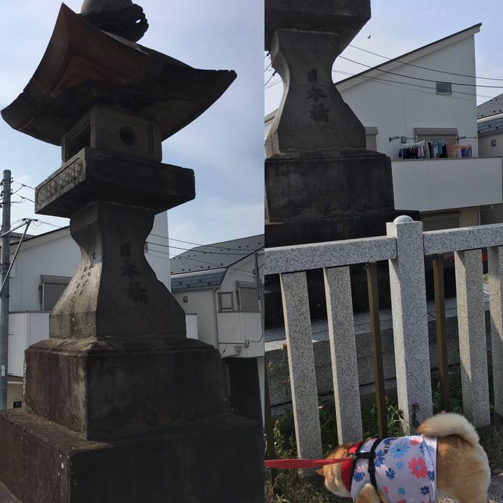 998ad24f dcea 495e 82bb a5aa5aa79ab5 1596938375149