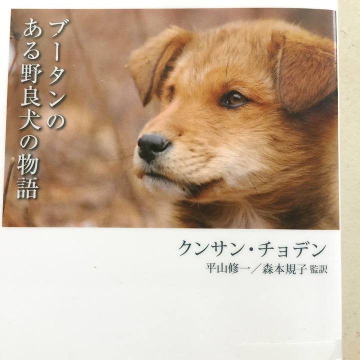 998b22f1 a53f 4a59 ba0f 1bf7d1e4a8bf 1587017566335