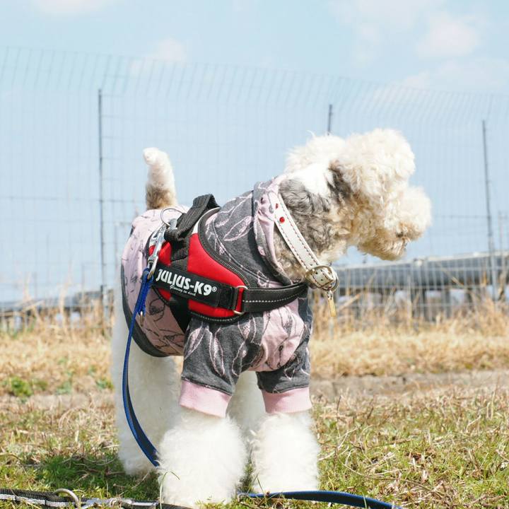 998b6e98 9bb6 44c5 9fad 74416d4bdcfe 1520752511440