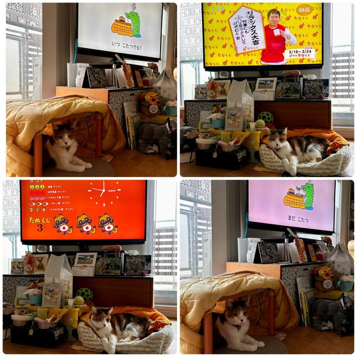 998b7872 449a 46ba a9fb a46da40077d0 1710714031961