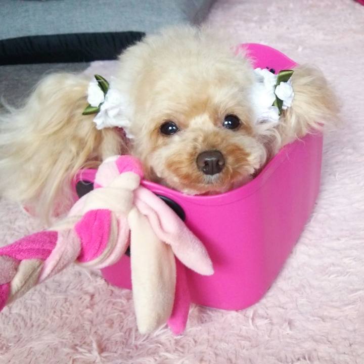 998bbb4a 117f 45f7 87fa 7b96f969e558 1549062409700