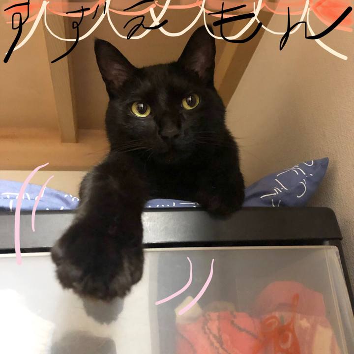 998bbf58 a6bd 4273 8db9 379532cf2edf 1556291244820