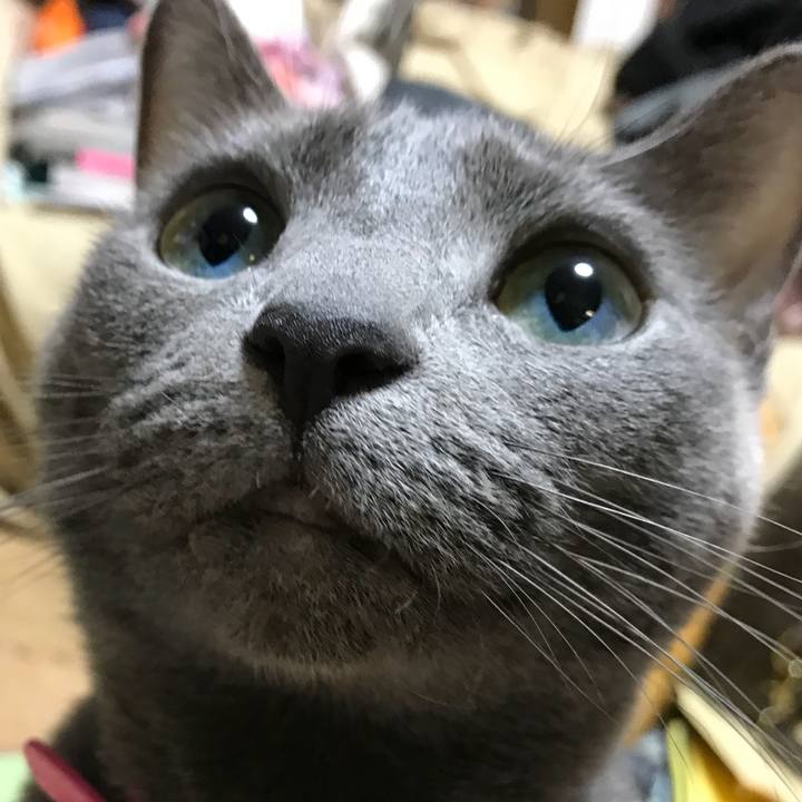 998c097a e58f 4c6f 9e40 ff1efe16b27a 1520680418842