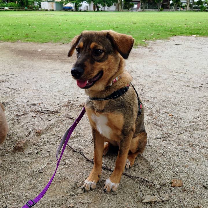 998c1ce3 cb17 4343 a5d1 b16248696015 1687219189091