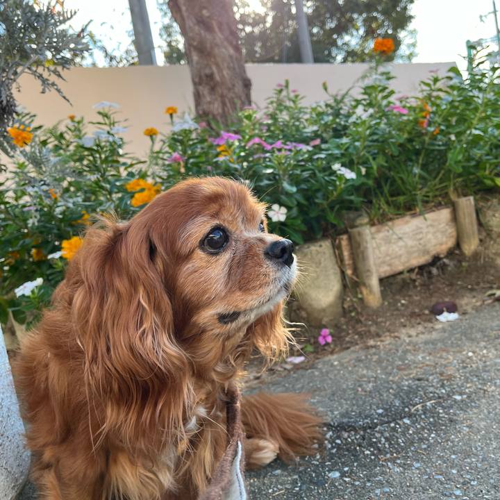 998c2bec 5715 4482 9075 38d230bc8650 1729986964184