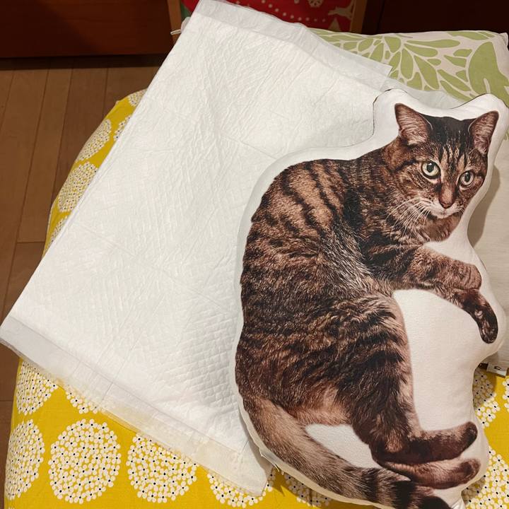 998c5253 4b68 4b12 a18d 266a81b0971b 1764752607982