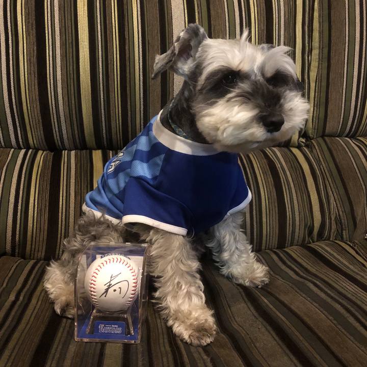 998c9185 13ef 4271 be09 8772adecf5ce 1558182269900