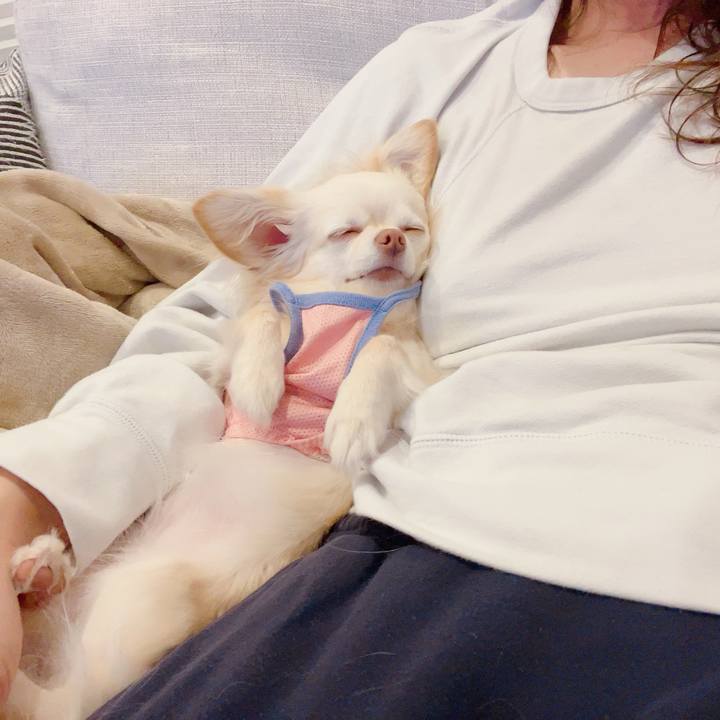 998c9a5c a3b3 4769 ab6e 9e3eb13f39d8 1713878484631