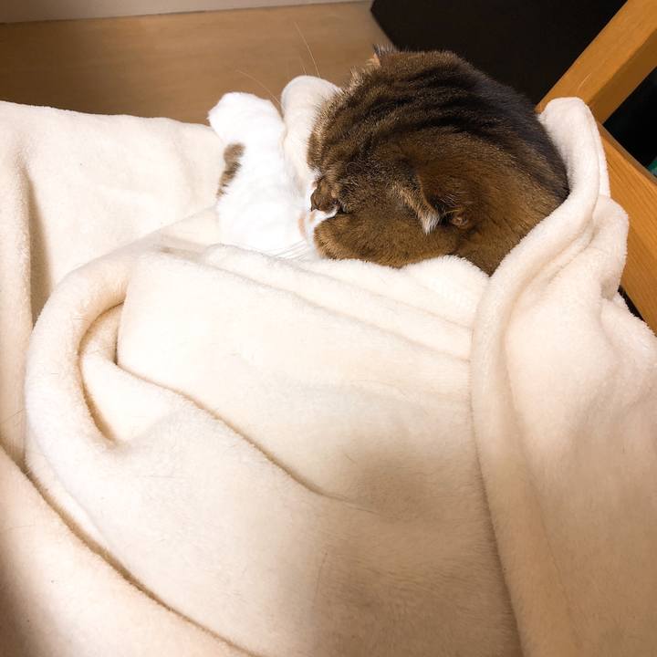 998ca236 bac6 40e0 b112 b26963c161dd 1548232928005