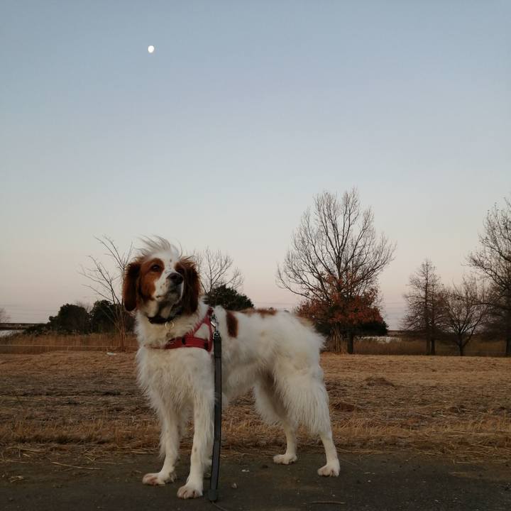 998cd1d4 9db1 4697 b108 67871a083e41 1578958657934