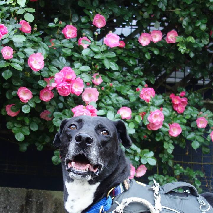 998cd88c 39fe 4691 987f ffc5115683eb 1746961257984