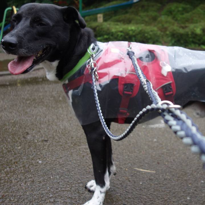 998cd9e7 c8af 4d50 9289 0e805f44290f 1625268931230