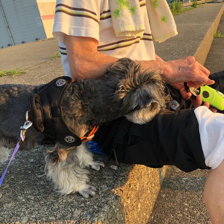 998d182a b670 4240 ac98 70a2213727db 1690029426030