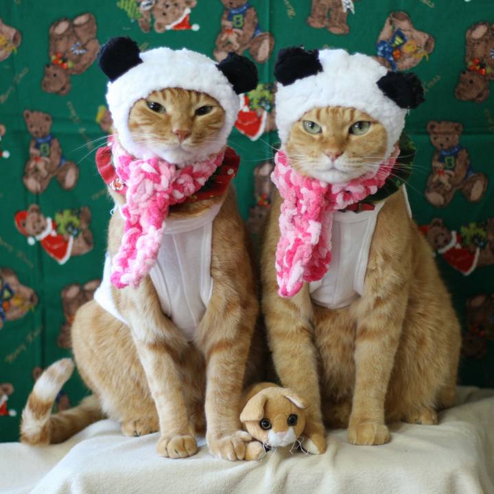 998d35a5 586e 4485 a9f7 b096f5b443cf 1513746967748