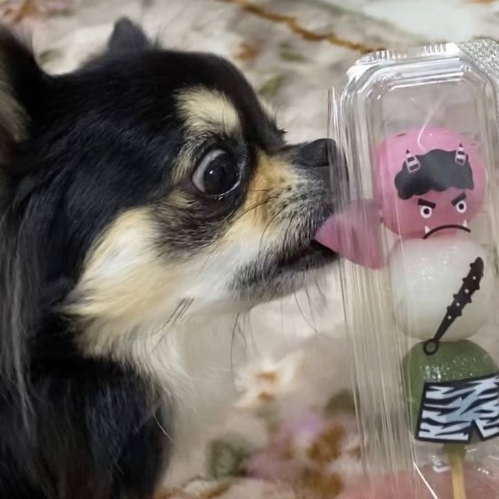 998d8c09 eddb 4a29 9f10 d02f7efc54b9 1612222242842