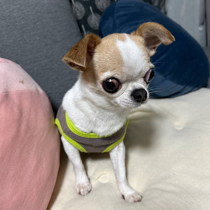 998d8e13 15cf 4d21 a519 fdcd0e3562f1 1769168020651