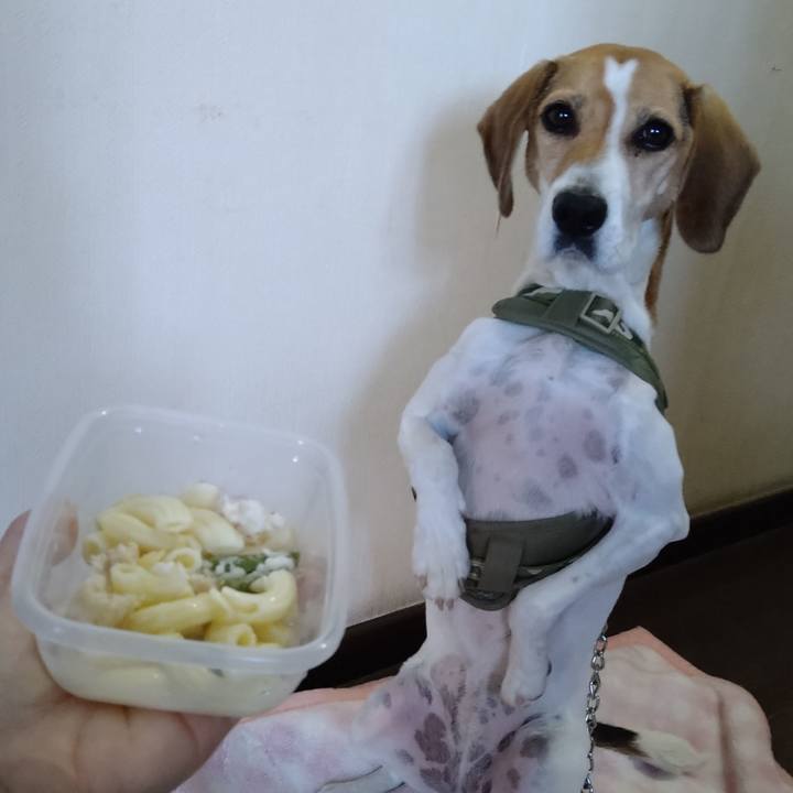 998df145 13e5 4757 87b4 2d5aec777297 1666243696609