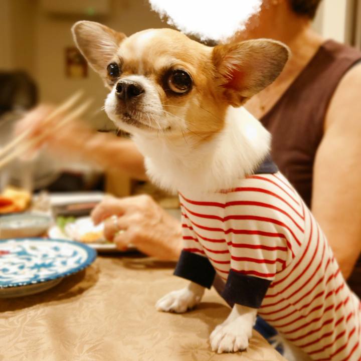 998df4b8 d3ac 4cf4 b81e b6bfd4ff125b 1660956871830