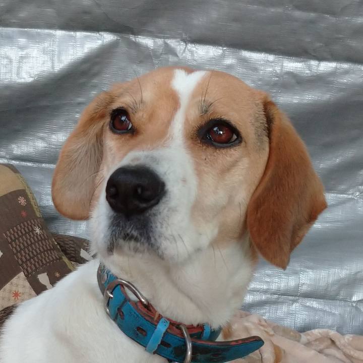 998e2052 99ad 4e97 8d8d 557cf6274892 1643985627110