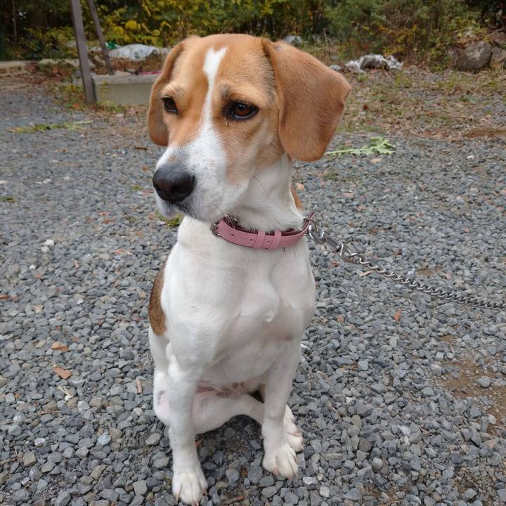 998e20f7 b369 4aee 811b 2e2ba1b583bc 1575949129609