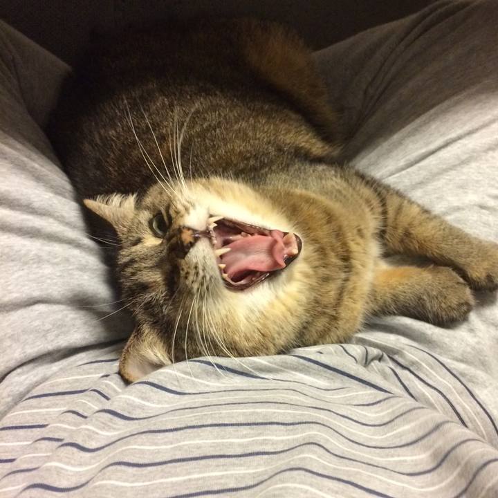 998e2861 2ee7 4bd0 932d 9b47e2091fb2 1607592638187