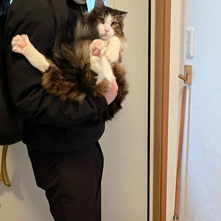 998e70eb a0e3 4d18 b162 65d332f1a96b 1649974049040