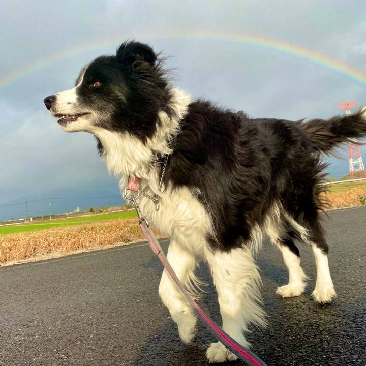 998ecc2a ca44 48ca adb7 925d6978bdcc 1673852073320