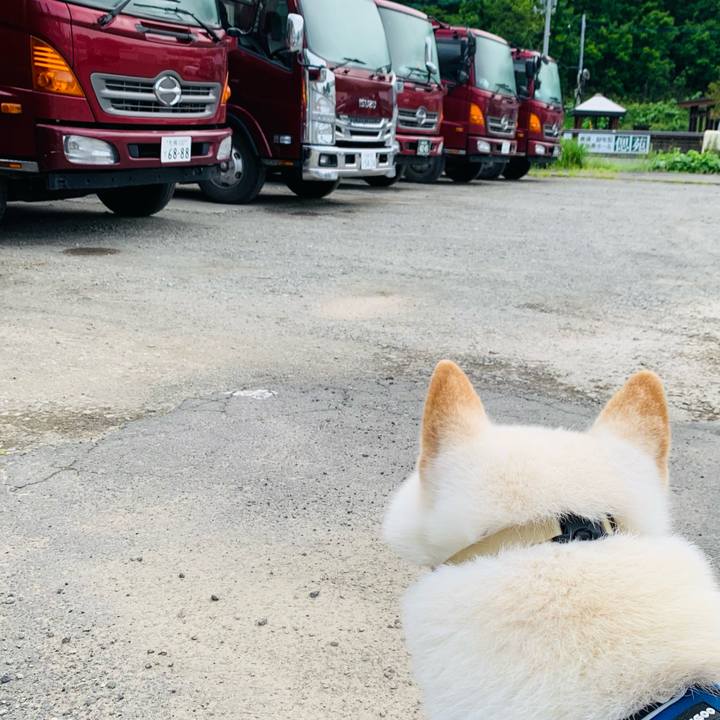 998ece7c 37f0 46f1 b272 7a66debd7d45 1624740606498