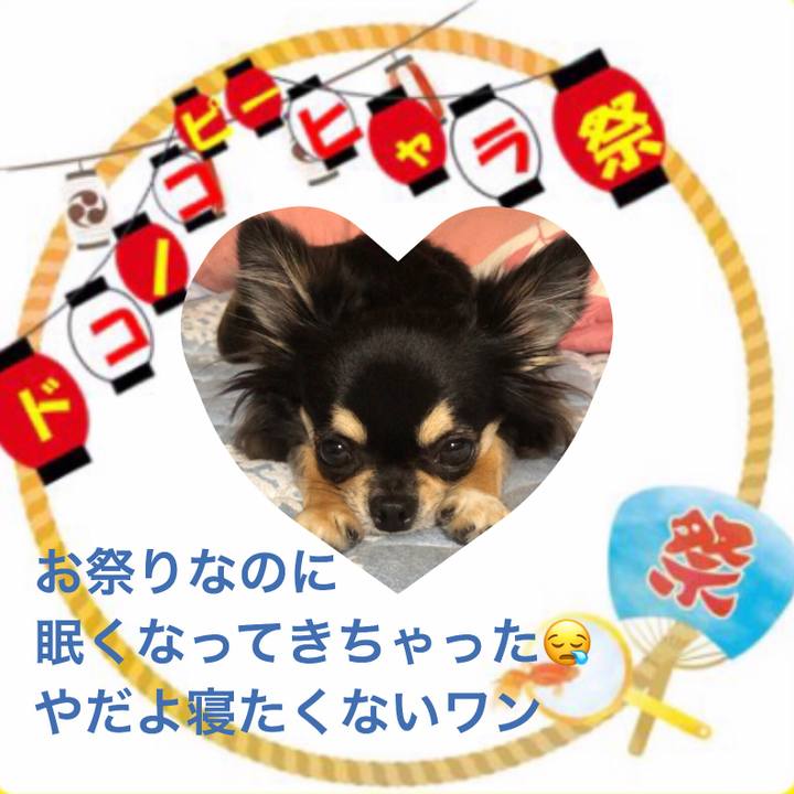 998eda98 bedf 40e3 a7dd 80ffb0ea6016 1565934142301