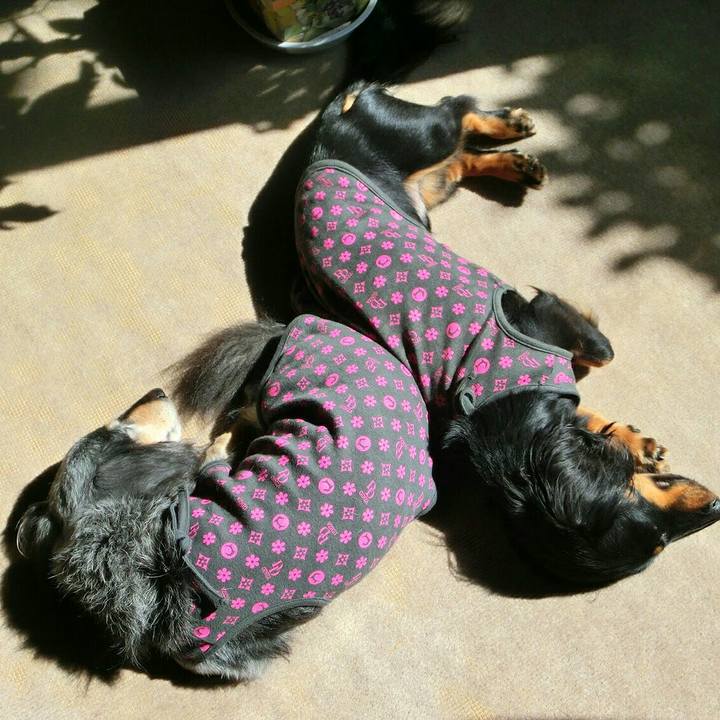 998ee26f 0430 4332 8a84 bdc21e2c6023 1511443042390