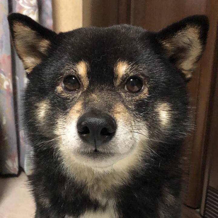 998ef594 2f59 4018 9d6f 050af54d03e5 1552192946180