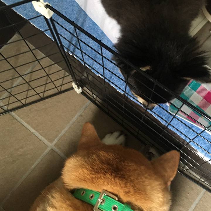 998f1224 6943 45bd 9469 8364871ddc6f 1634010478656