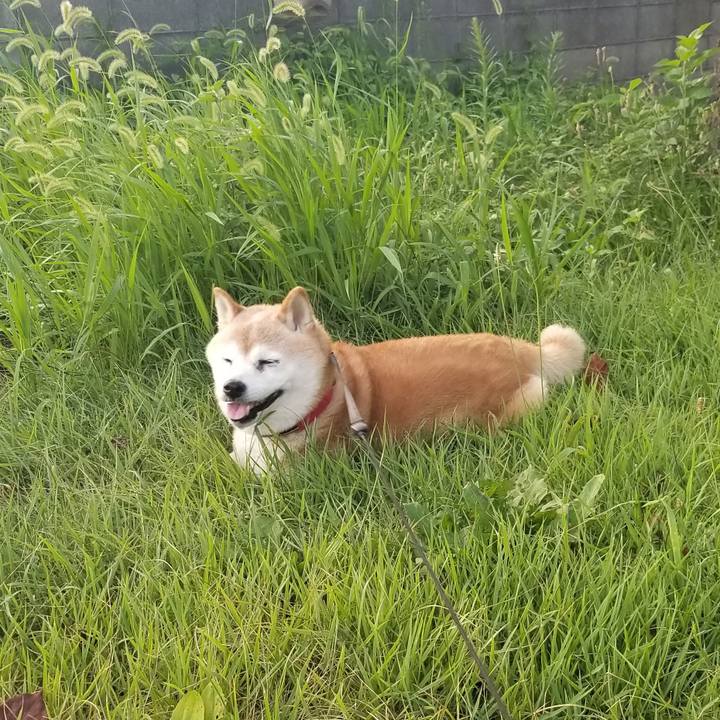 998f8c25 c12c 44a2 b5a5 646b369e5b64 1723108410245