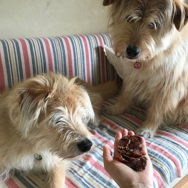 998fba85 fdfd 4df8 ab5d 4ce84bad02b4 1562899459042