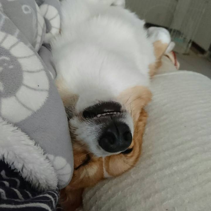 998fcbe2 4243 4270 b410 d987a53af26b 1522839567344