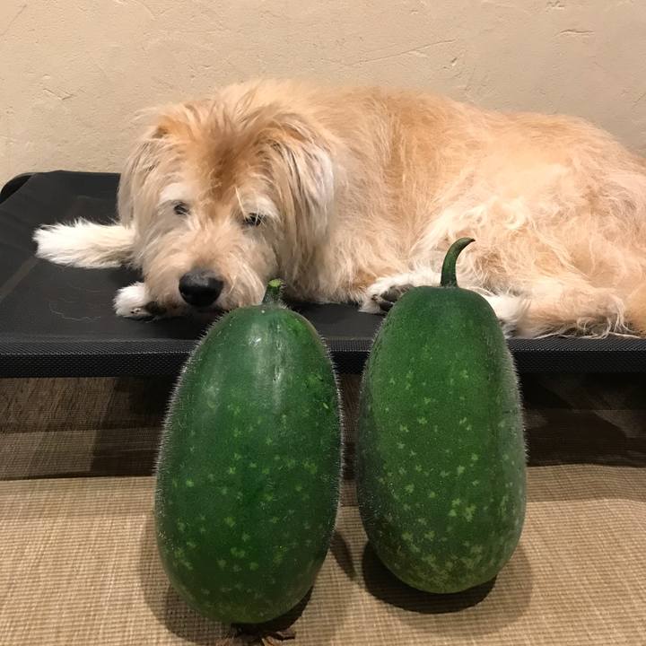 998fcd59 7e84 4d1c 89af 6c675a31b33c 1633775958535