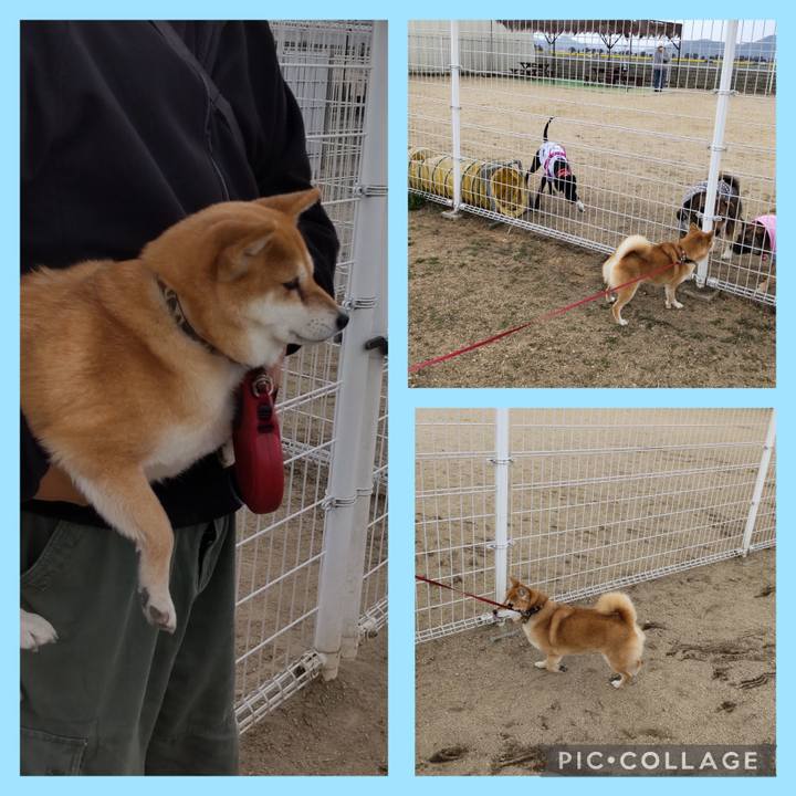 9990018b 59c2 4230 a22b b094d969d31e 1742455707784