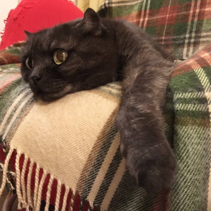 99900648 8751 48ae a594 74fae4c922e3 1558704621202