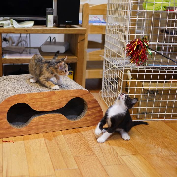 99901e33 111b 440e b96a c776a058058d 1572187058959