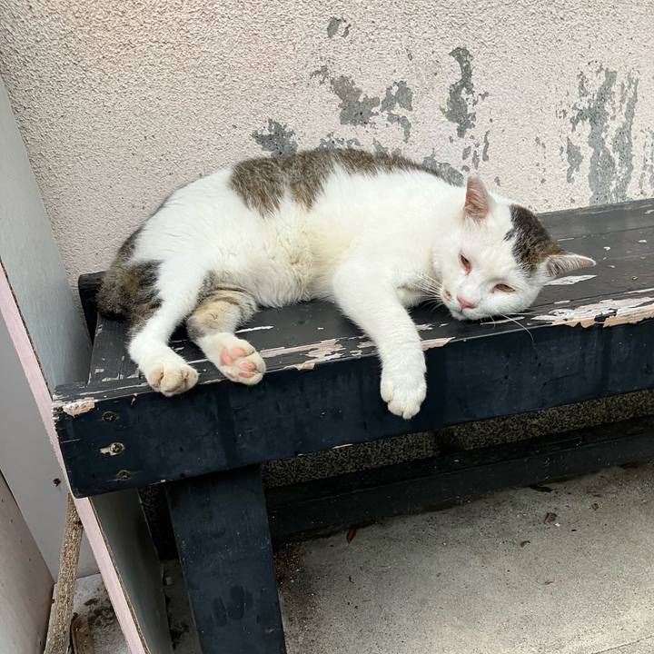 9990711c 862e 43b8 9b1d 67aa309b5f99 1764107992212