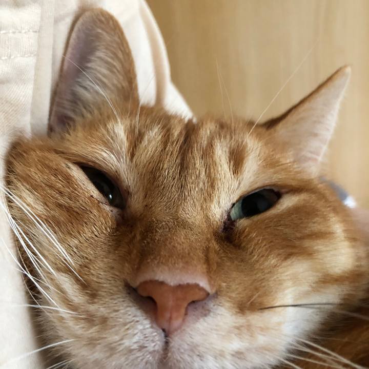 999079b8 f8fa 487a ba8e c0c191c78d7c 1654313122676