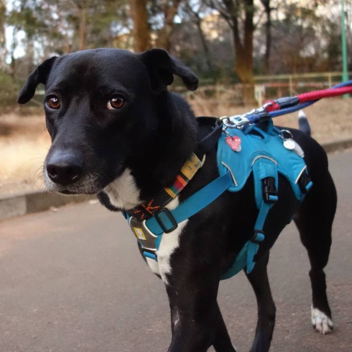 99909730 77f0 47f7 9f42 512ab6a704a2 1610327101968