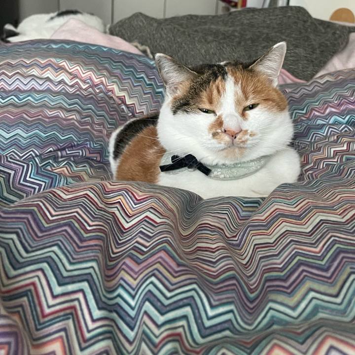 9990c737 d19d 4ce6 b5e0 b53118da6745 1670542797836