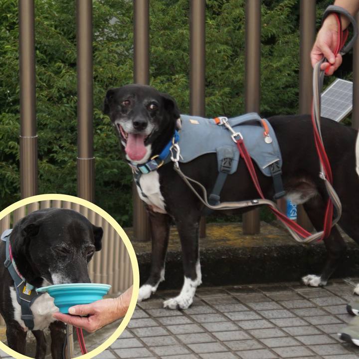 99917aad 0f3f 412b a15b 1777b1b52f41 1754870136802