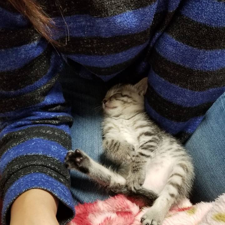 9991bcb5 3893 4d45 a469 2355870a2536 1661182344625