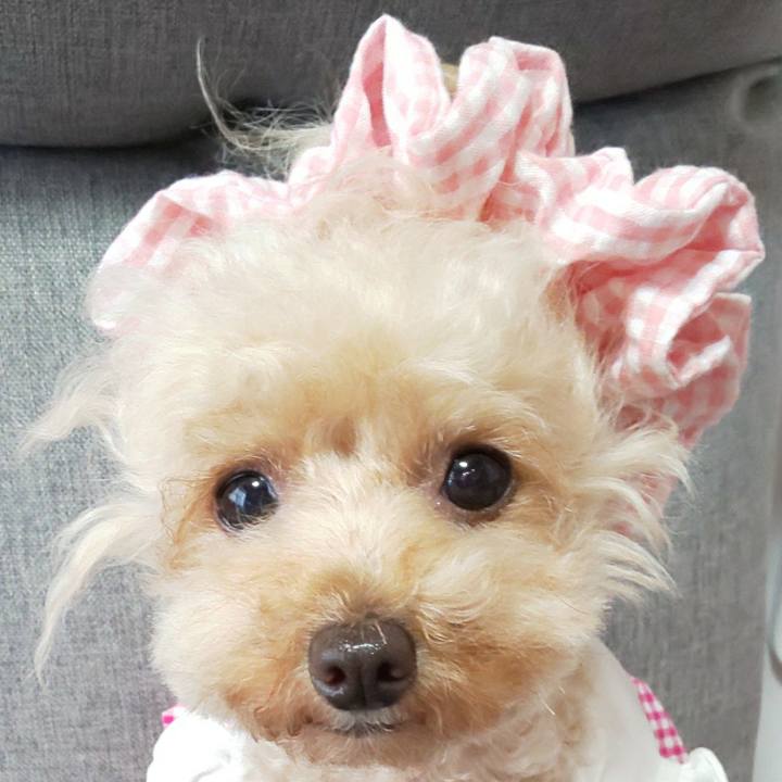 9991e12b 149d 4d7b b568 665b1158f1dc 1567672712741