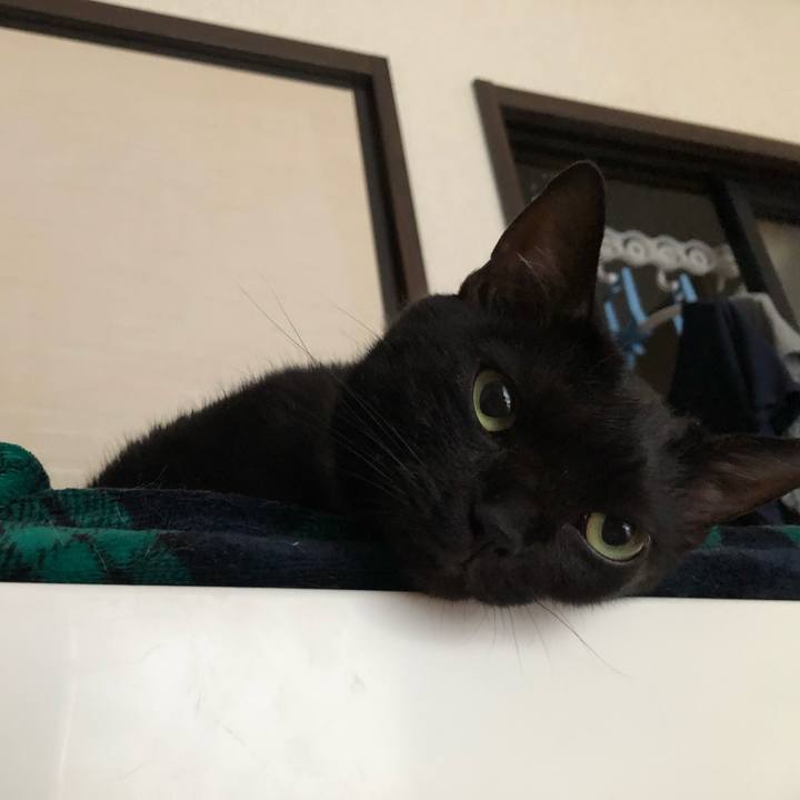 99922663 0414 44af 851f 4f45dae7d0aa 1559014503773