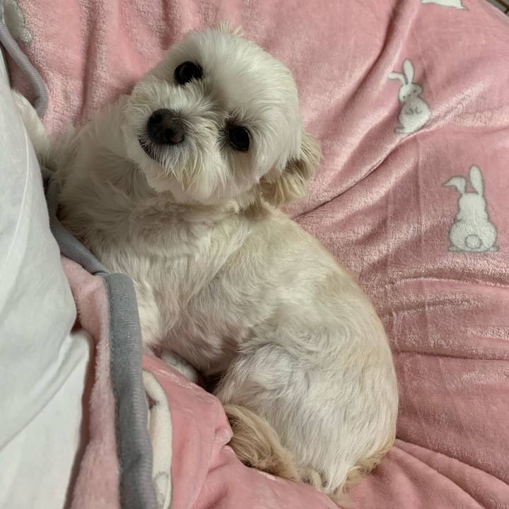 9992266c b9a1 41c6 865c 06fe0bd0924d 1573382840966