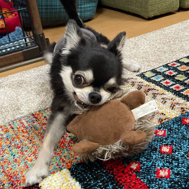 9992395e b0c7 4538 aaa6 c5195cd0db31 1682867827625